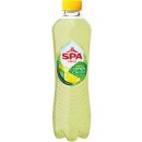 Spa Fruit Sparkling lemon-cactus, fles van 40 cl, pak van 24 stuks