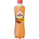 Spa Fruit Sparkling grapefruit-raspberry, fles van 40 cl, pak van 24 stuks