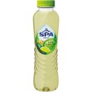 Spa Fruit Still lime-ginger, fles van 40 cl, pak van 24 stuks