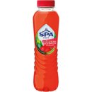Spa Fruit Still Strawberry-watermelon, fles van 40 cl,...