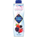 Karvan Cévitam siroop, fles van 60 cl, bosvruchten