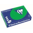 Clairefontaine Trophée Intens, gekleurd papier, A4, 160 g, 250 vel, bijartgroen