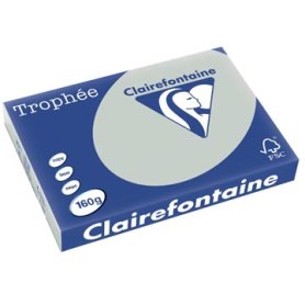 Clairefontaine Trophée Pastel, gekleurd papier, A3, 160 g, 250 vel, lichtgrijs