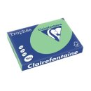 Clairefontaine Trophée Pastel, gekleurd papier, A3, 160 g, 250 vel, natuurgroen