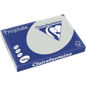 Clairefontaine Trophée Pastel, gekleurd papier, A3, 120 g, 250 vel, lichtgrijs
