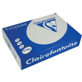 Clairefontaine Trophée Pastel, gekleurd papier, A4, 210 g, 250 vel, lichtgrijs