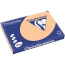 Clairefontaine Trophée Pastel, gekleurd papier, A3, 120 g, 250 vel, abrikoos