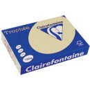 Clairefontaine Trophée Pastel, gekleurd papier, A4, 160 g, 250 vel, gems