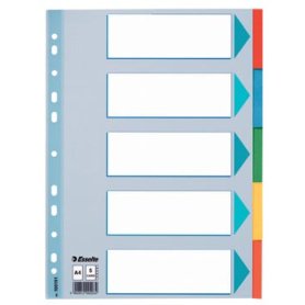 Esselte tabbladen, voor ft A4, uit karton, 5 tabs, geassorteerde kleuren