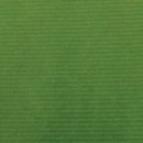 Canson kraftpapier ft 68 x 300 cm, groen