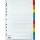 Pergamy tabbladen met indexblad, ft A4, 11-gaatsperforatie, geassorteerde kleuren, 10 tabs