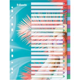 Esselte ColourBreeze tabbladen, ft A4, 11-gaatsperforatie, PP, set van 20 tabs